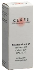 Ceres Allium ursinum Urtinkt