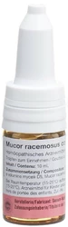 SANUM Mucor racemosus compositum Tropfen 5 D