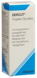 Dercut Tropfen zum Einnehmen