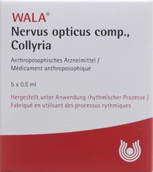 Wala Nervus opticus comp. Gtt Opht