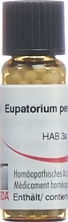 Omida Eupatorium perfoliatum Globuli 30 C