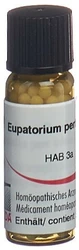 Omida Eupatorium perfoliatum Globuli 30 C
