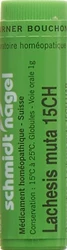 schmidt-nagel Lachesis muta Globuli 15 CH