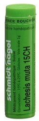 schmidt-nagel Lachesis muta Globuli 15 CH