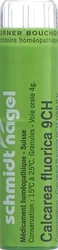 schmidt-nagel Calcarea fluorica Granulat 9 CH