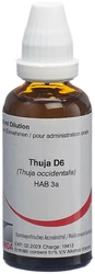 Omida Thuja flüssig 6 D