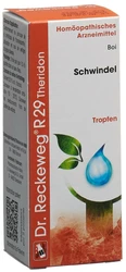Dr. Reckeweg R29 Theridon Tropfen