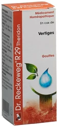 Dr. Reckeweg R29 Theridon Tropfen