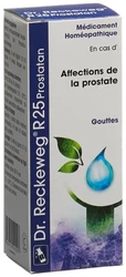 Dr. Reckeweg R25 Prostatan Tropfen