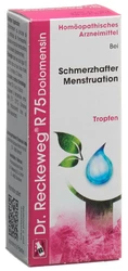 Dr. Reckeweg R75 Dolomensin Tropfen