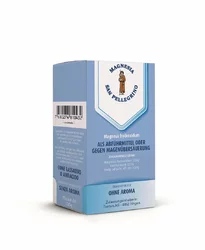 Magnesia San Pellegrino Brause Plv ohne Aroma