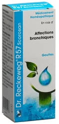 Dr. Reckeweg R57 Scorosan Tropfen
