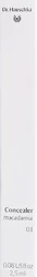 Dr. Hauschka Concealer 01 macadamia