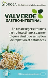Valverde Magen-Darm Filmtablette