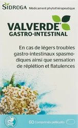 Valverde Magen-Darm Filmtablette