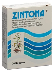 Zintona Kapsel