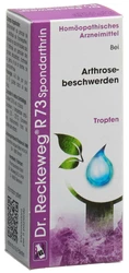 Dr. Reckeweg R73 Spondarthrin Tropfen