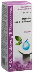 Dr. Reckeweg R73 Spondarthrin Tropfen