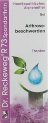 Dr. Reckeweg R73 Spondarthrin Tropfen