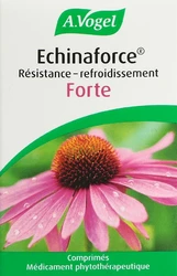 A. Vogel Echinaforce Echinforce Resistenz-Erkältung forte Tblette