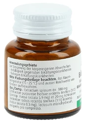 A. Vogel Echinaforce Echinforce Resistenz-Erkältung Tblette