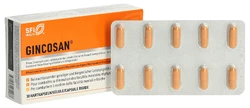 Gincosan Kapsel