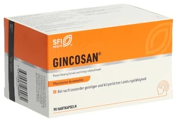 Gincosan Kapsel