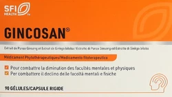 Gincosan Kapsel