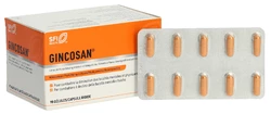 Gincosan Kapsel
