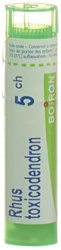 Boiron Rhus toxicodendron Granulat 5 CH