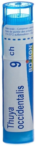 Image link