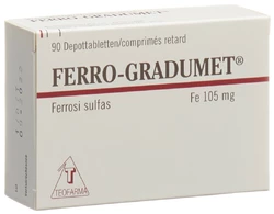 Ferro Gradumet Depottabl