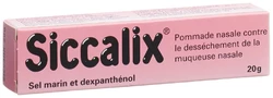Siccalix Nasensalbe