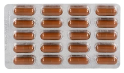 ALPINAMED Enzym Komplex Kapsel