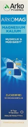 Arkomag Magnesium + Kalium Brausetablette
