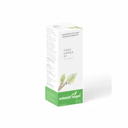 schmidt-nagel Ficus carica Glyc Maz 1 DH