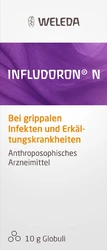Infludoron N glob