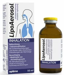 LipoAerosol Inhalationslösung