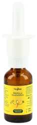 heybee Propolis Nasenspray
