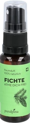 puralpina Raumduft Fichte