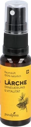 puralpina Raumduft Lärche