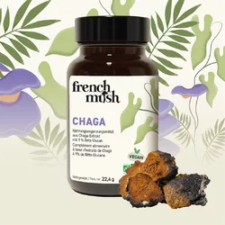 french mush Chaga Kapsel