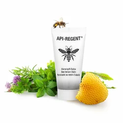API-REGENT Bienengift-Salbe mit Kräuterölen