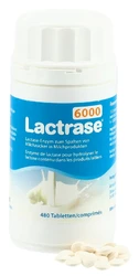 Lactrase Tablette 6000 IE