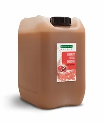 EDUARD VOGT ORIGIN Energy Vital Douche