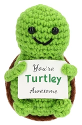 I AM Creative Positive Turtle