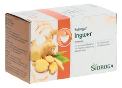 Sidroga gingembre