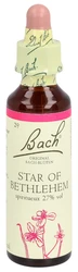 Bach Bachblüten Original Star of Bethlehem Nummer 29