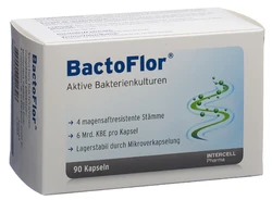 Bactoflor Kapsel