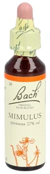 Bach Bachblüten Original Mimulus Nummer 20